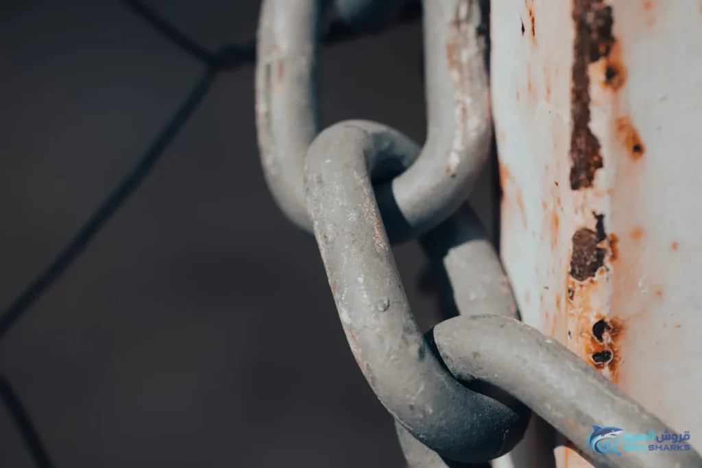 Broken Link Building: Find Dead Links and Win Them Back - Broken Link Building: Find Dead